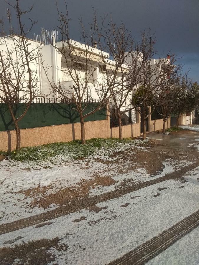 Nina Rooms Ártemida Kültér fotó